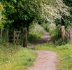 Beacon Trails
