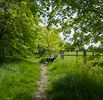 Beacon Trails