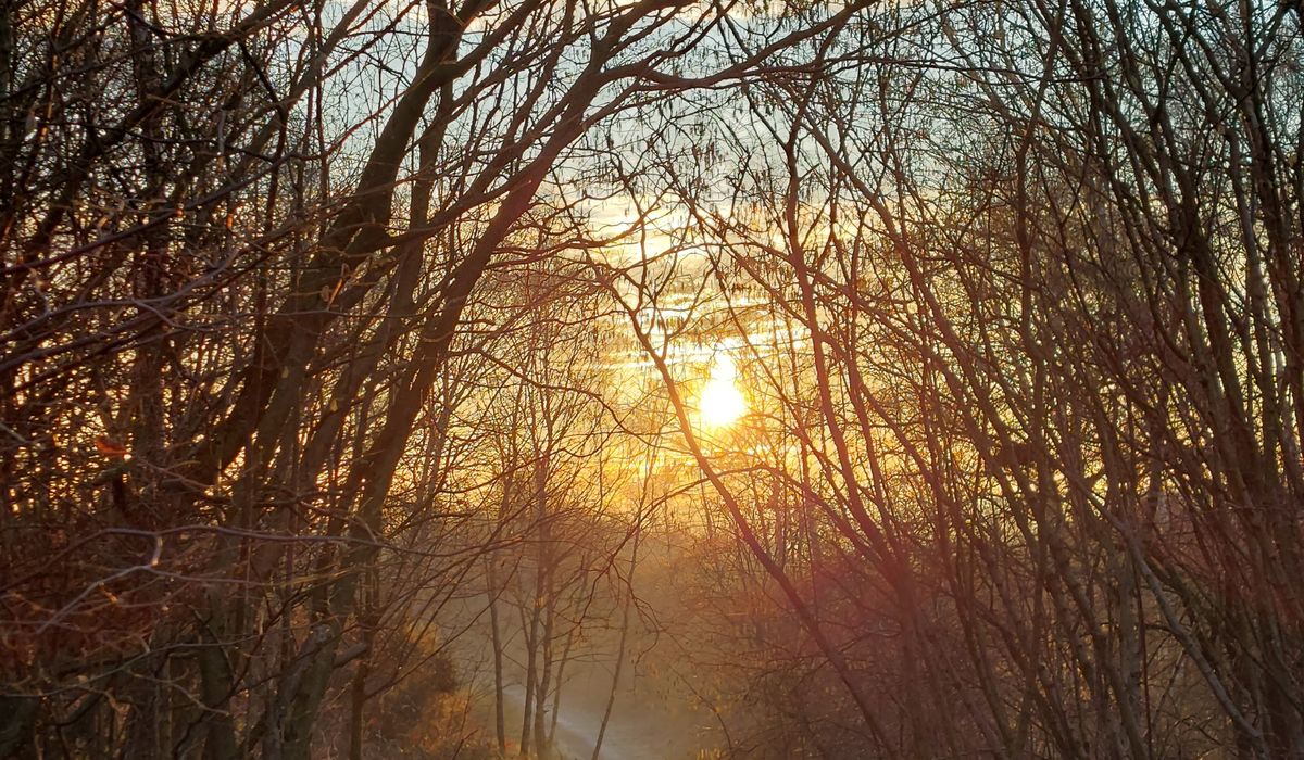 Beacon Trails
